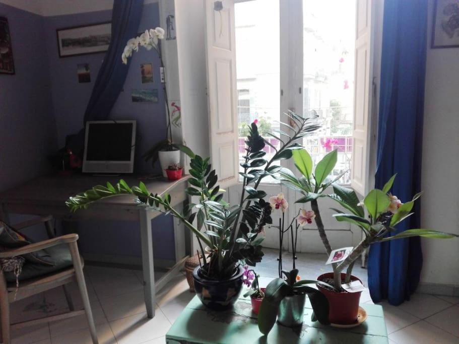 Apartment Joyfull In The Historical Center *